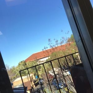 Meet your Posher, Diego